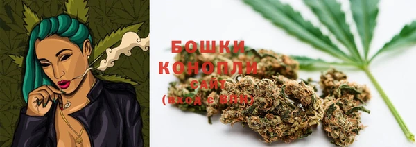 таблы Бородино