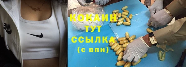 таблы Бородино