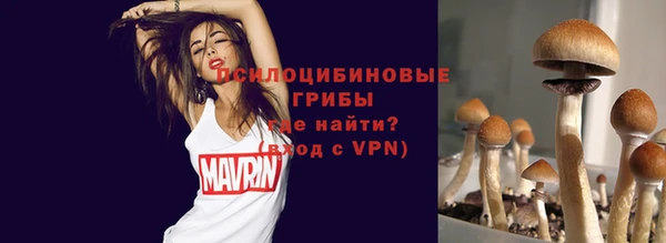 бутират Верхний Тагил