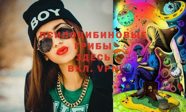 шишки Бугульма