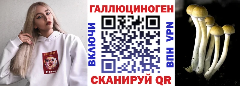 Псилоцибиновые грибы мицелий  Купить  Ковдор 